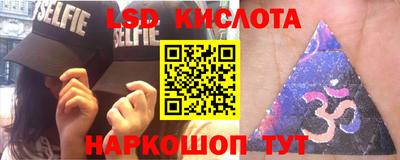 прущие грибы Будённовск