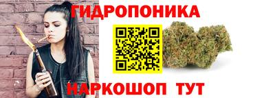 прущие грибы Будённовск